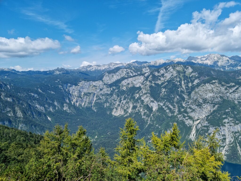 zdjęcie panoramy Alp ze szczytu Vogel