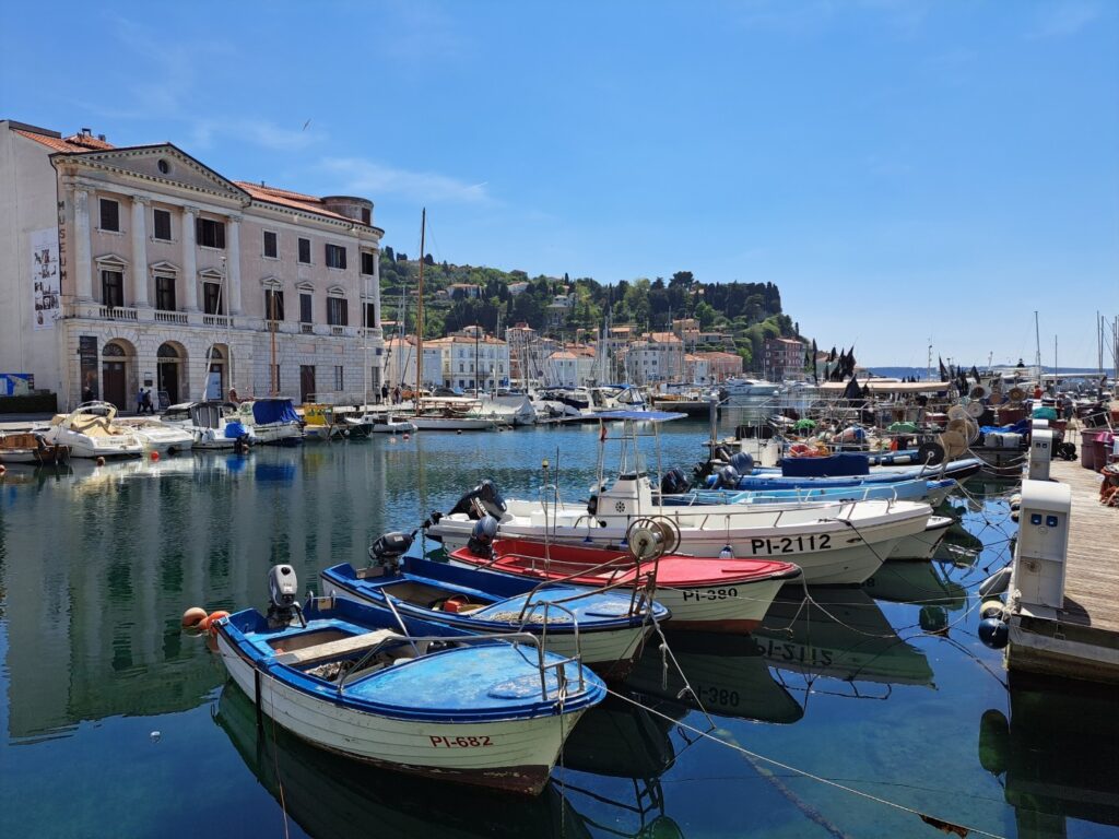 Port w Piranie z zacumowanymi kolorowymi łódkami 