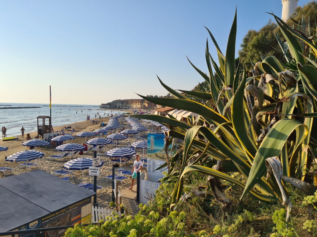zdjęcie plaży z parasolami