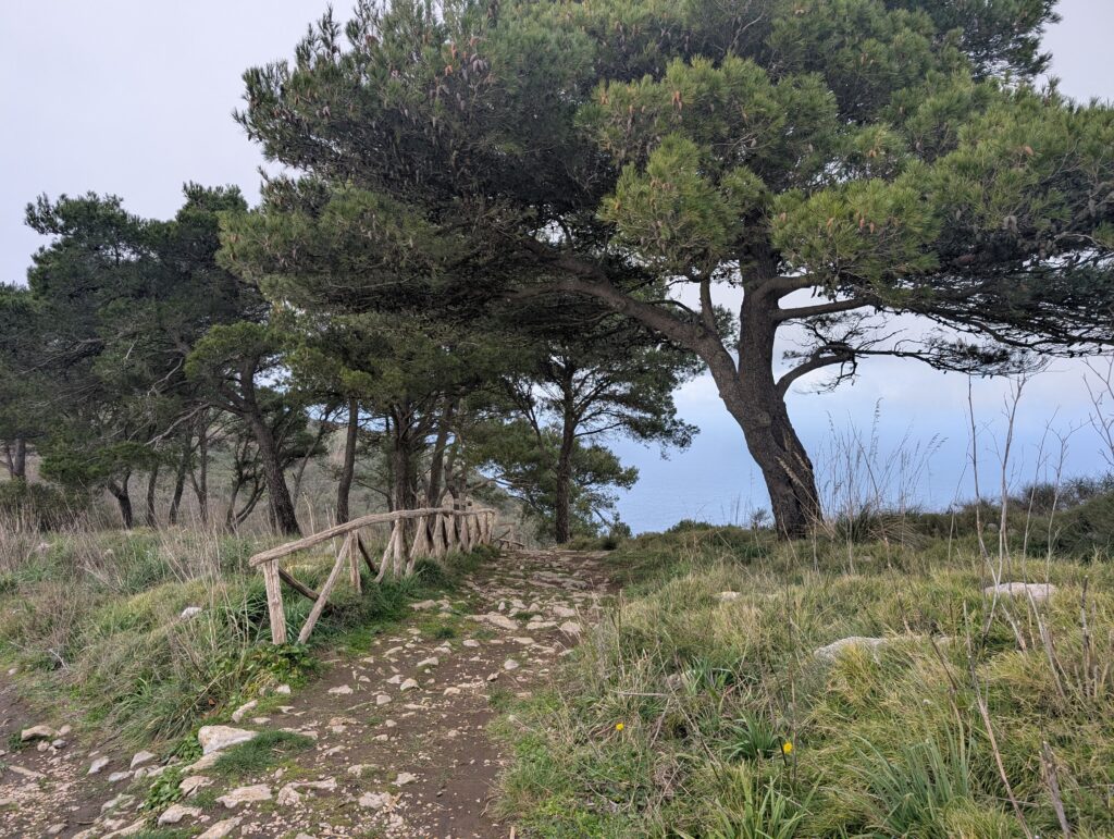 Szlak trekkingowy na Monte San Costanzo prowadzący wśród kamieni i zieleni