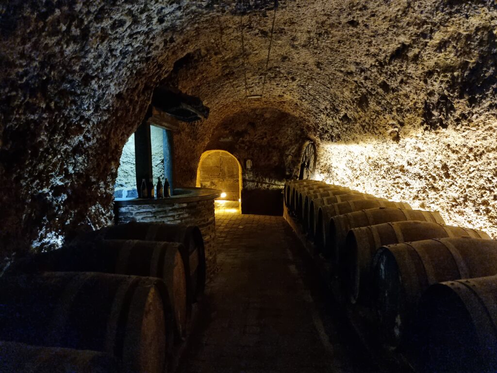 Podziemne piwnice z dębowymi beczkami w winnicy Bodega El Fabulista