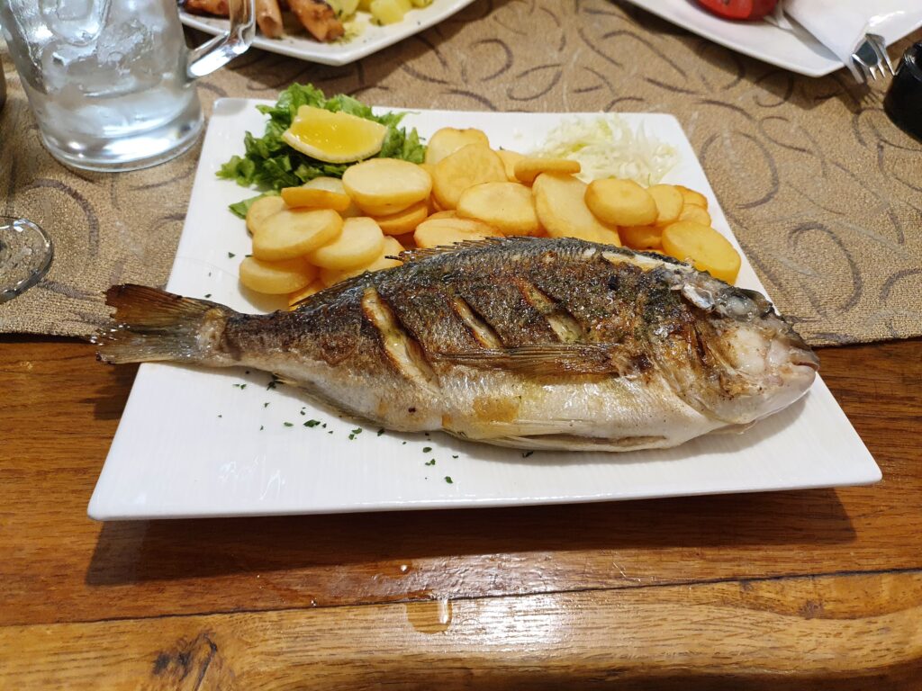 Grillowana ryba dorada w Makarskiej