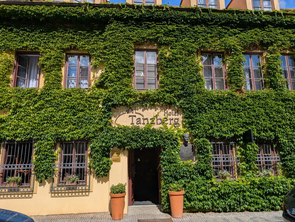 Dwupiętrowa żółta fasada Hotelu Tanzberg w Mikulovie porośnięta bluszczem